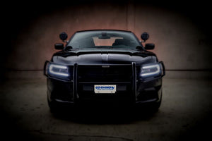 Wraps/Brush Guards: Dodge Charger 2015-2020